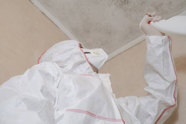 Best Professional Mold Removal  in Amelia, OH